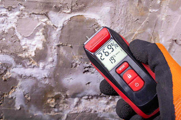 Best Professional Mold Removal  in Franklin, VA