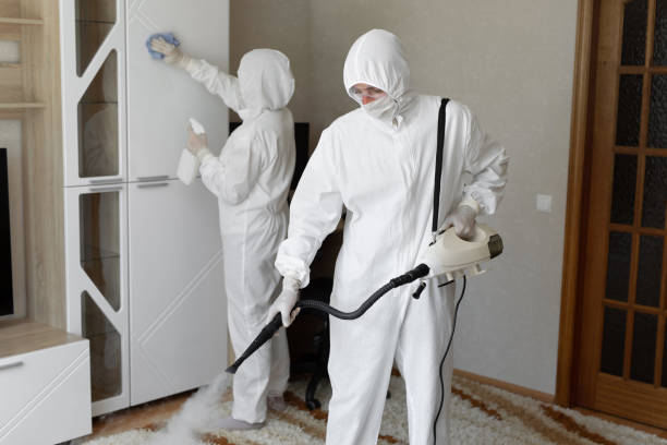 Best Attic Mold Removal  in Franklin, VA